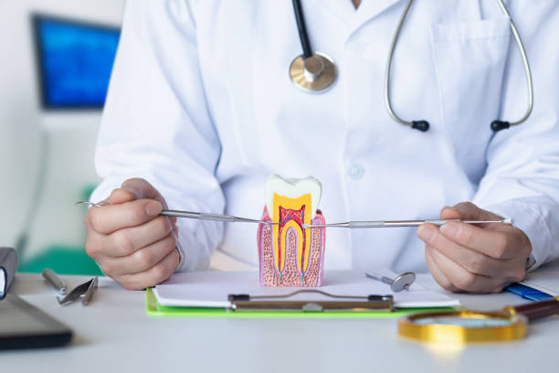 Best Emergency Treatment for Toothache in Brooklyn Heights, OH